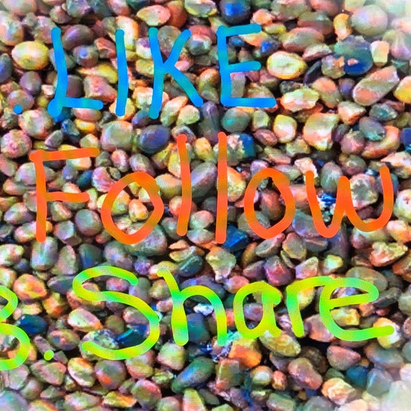 HELP ME REACH MY NEW GOAL OF 400K FOLLOWERS!!! 🤗🤗 - Picture 2 of 8